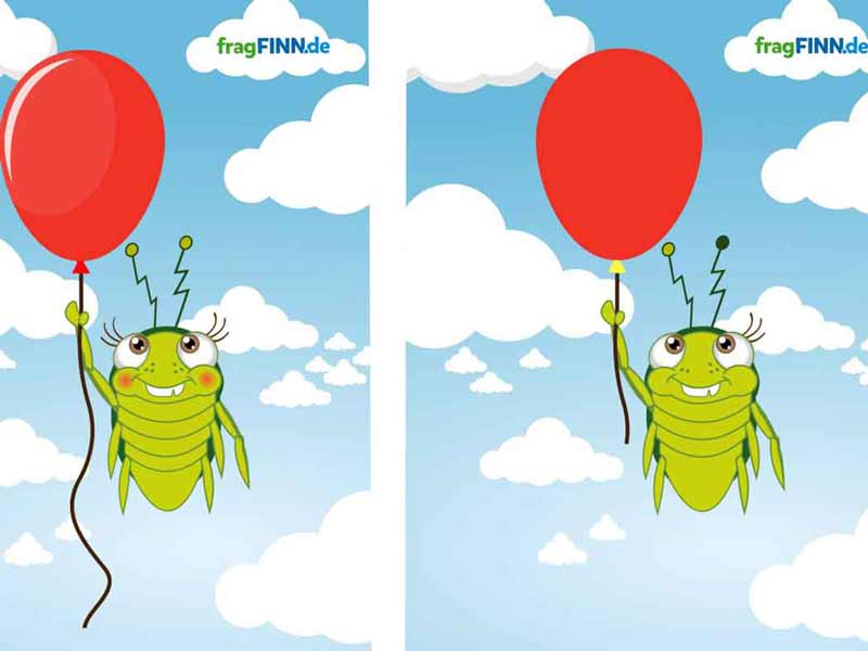 Frag Finn.De Frag Finn.De