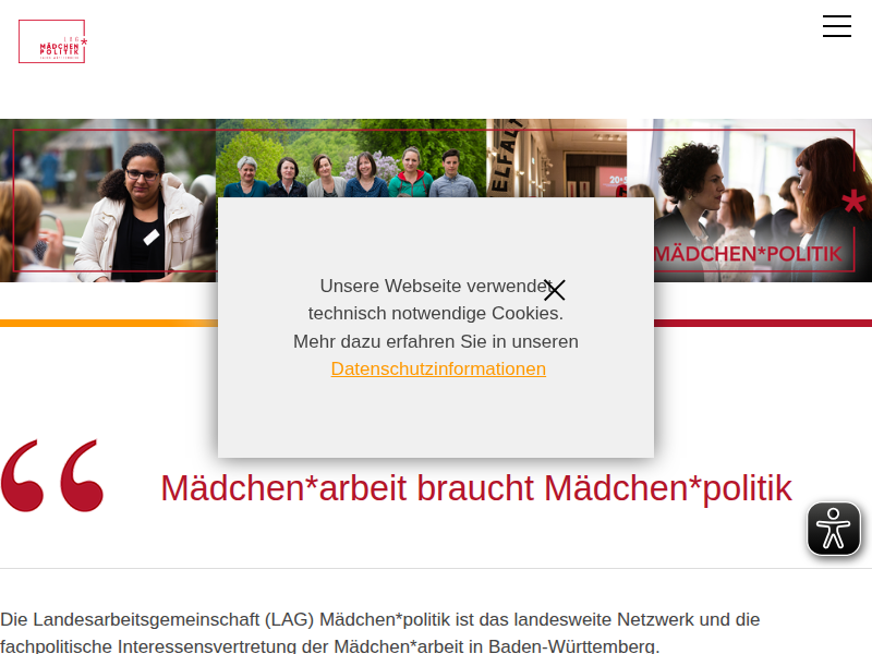 LAG Mädchen*Politik BW | Materialien