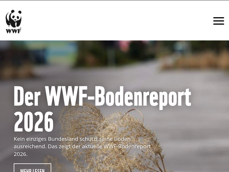 Vor Abstimmung im EU-Parlament: WWF fordert starkes Lieferkettengesetz - WWF Österreich