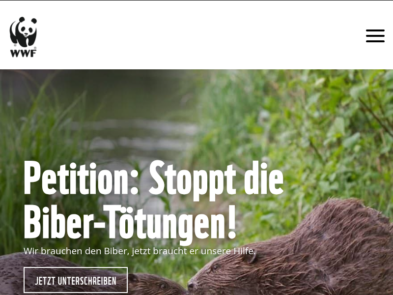 Der Graue Kranich – eleganter Langstrecken-Profi - WWF Österreich
