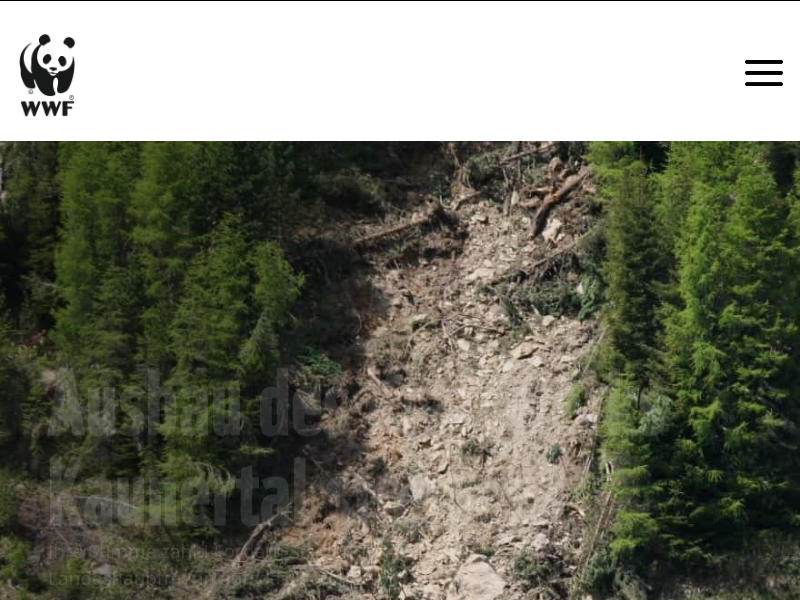 Faltig, glatt und hufeisenförmig: Fledermäuse haben die Nase vorn - WWF Österreich