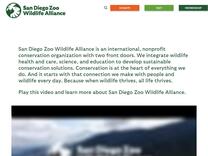 Surprising Swimmers | San Diego Zoo Wildlife Alliance