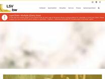 „Wir gehen beim Sport freiwillig in die Risikozone“ - LSVBW