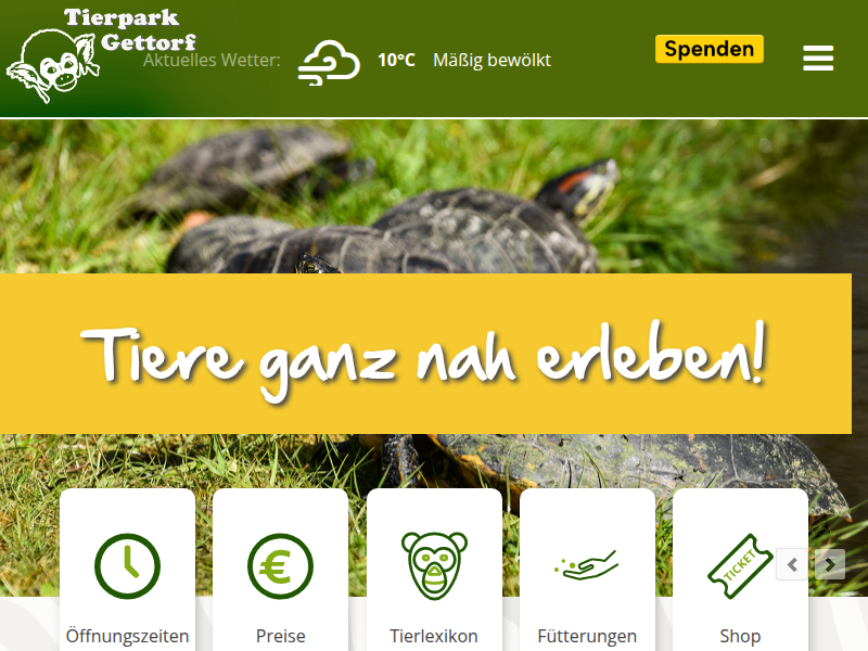 Alpakas - Tierpark Gettorf