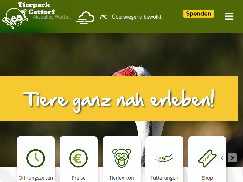 Roter Flamingo - Tierpark Gettorf