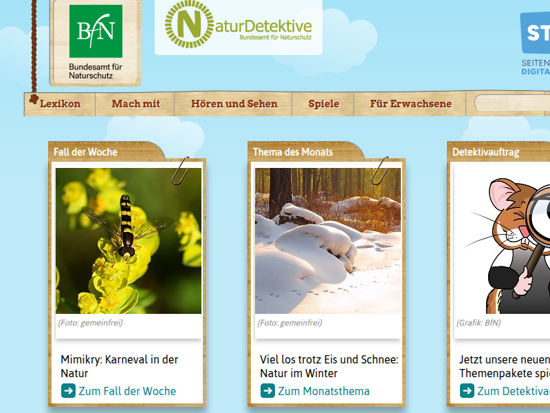 Naturdetektive für Kinder - www.naturdetektive.de: Insekten in Gefahr!