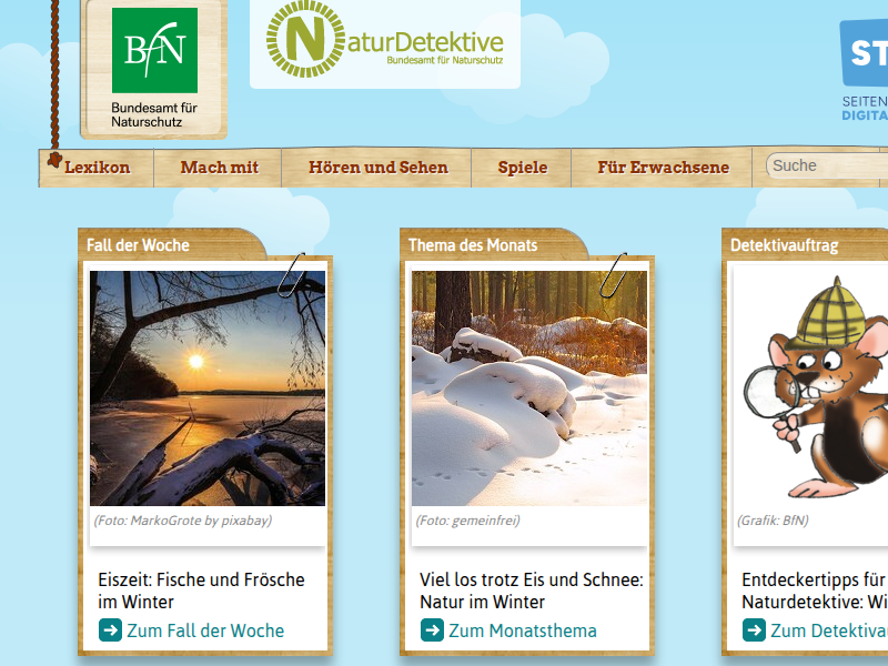 Naturdetektive für Kinder - www.naturdetektive.de: Was ist eigentlich Plankton?