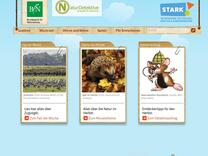Naturdetektive für Kinder - www.naturdetektive.de: Alles mit Holunder