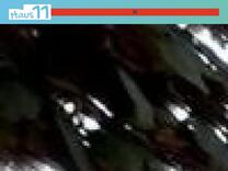 Impressum & Datenschutz – Haus11