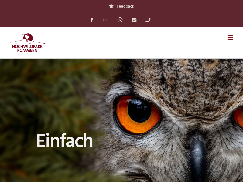 Falknerei - Hochwildpark Rheinland in Mechernich-Kommern