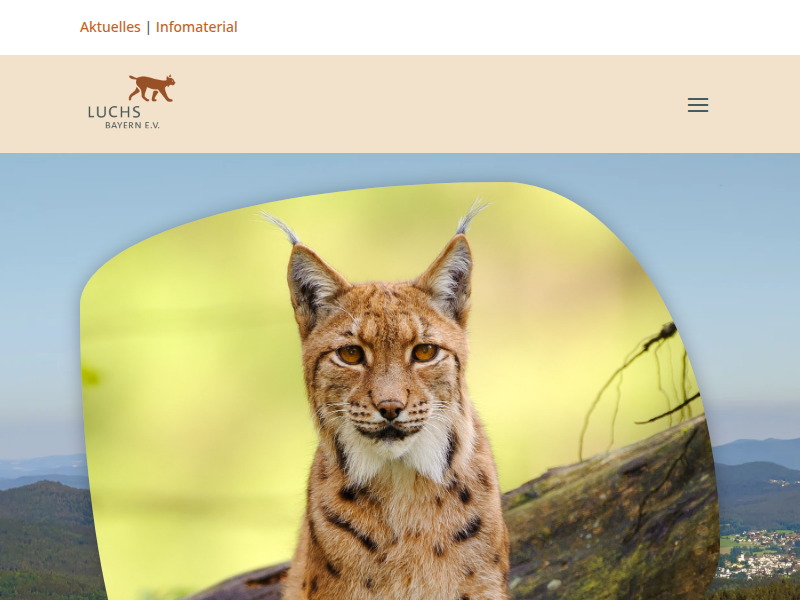 Luchs und Reh: Jagdverhalten, Bedarf & Einfluss auf Wild - Luchs Bayern e.V.
