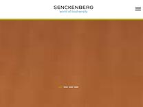 Kuratorium | Senckenberg Gesellschaft für Naturforschung