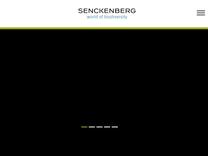 Marine Evertebraten I: Forschung | Senckenberg Gesellschaft für Naturforschung