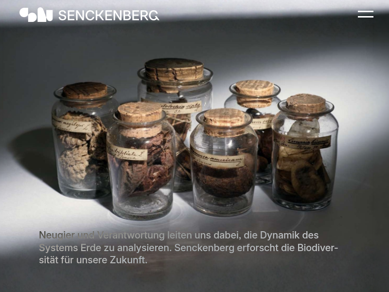 Das Gift des Bücherskorpions wirkt auch gegen Krankenhauskeime | Senckenberg Gesellschaft für Naturforschung