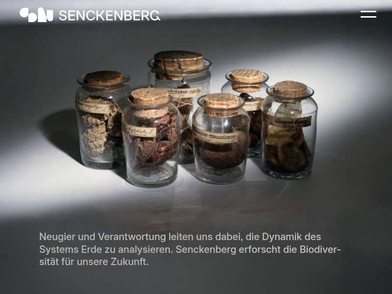 Team: Mikropaläontologie I | Senckenberg Gesellschaft für Naturforschung