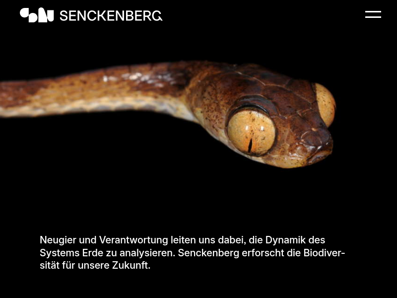 Thema: VONGY Comic | Senckenberg Naturforschung