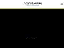Abt. Paläoanthropologie | Senckenberg Gesellschaft für Naturforschung