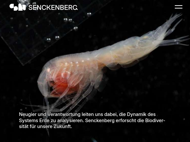 DZMB Betreute Forschungsfahrten | Senckenberg Gesellschaft für Naturforschung