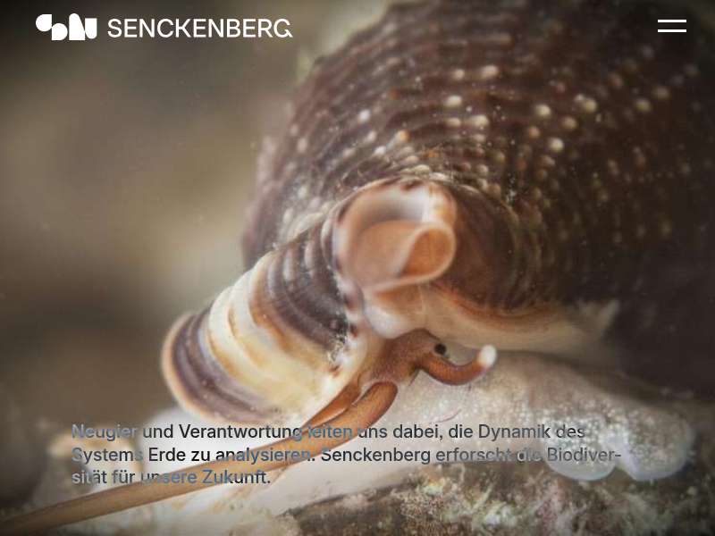 Team Bewegungsökologie | Senckenberg Gesellschaft für Naturforschung