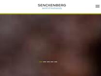 Ökosystemdynamik und Klima | Senckenberg Gesellschaft für Naturforschung