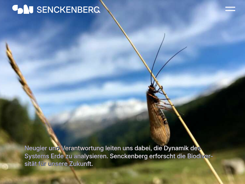 Rohdiamant Zuversicht – Aus der Resignation in die Zukunftsgestaltung | Senckenberg Gesellschaft für Naturforschung