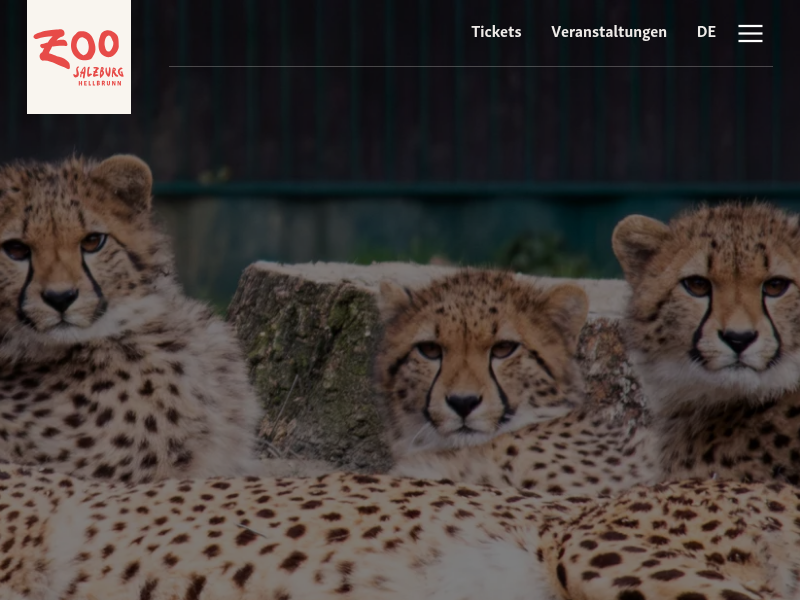 Das war der Artenschutztag 2025 | Zoo Salzburg