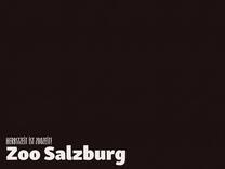 Erlebnisstand "Wolfstag" | Zoo Salzburg