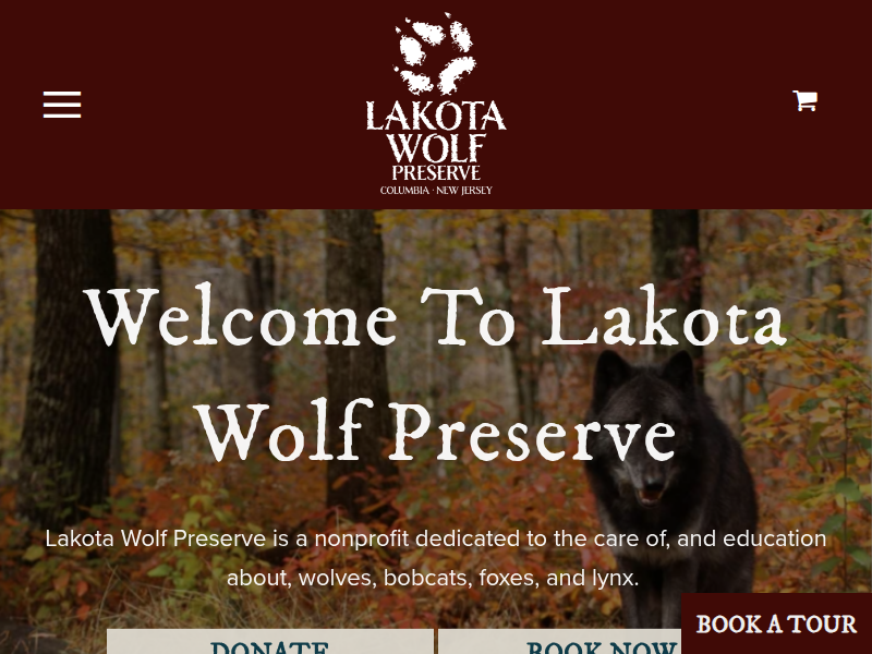 11A Gift Certificate for 1 Photographer : Lakota Wolf Preserve