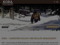 Kanton Wallis: Eine Wölfin mit einem GPS-Sender ausgestattet | KORA – Raubtierökologie und Wildtiermanagement - KORA