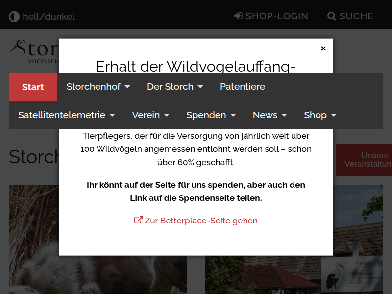 Evoli, Kind von Jonas aus Köckte, in Sachsen abgelesen - Vogelschutzwarte Storchenhof Loburg e. V.