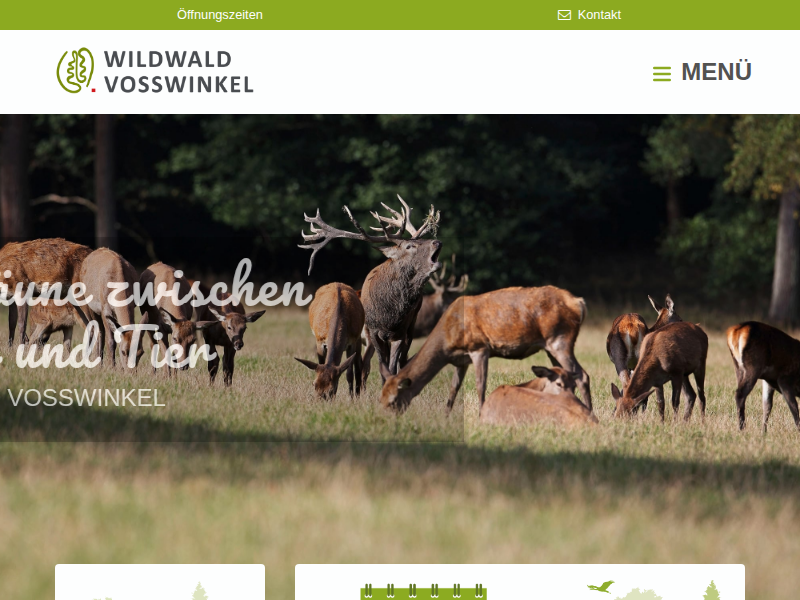Outdoor Exit Game "Keinen Schritt weiter!" / Gruppenangebote / Wald-Abenteuer / Wildwald Vosswinkel
