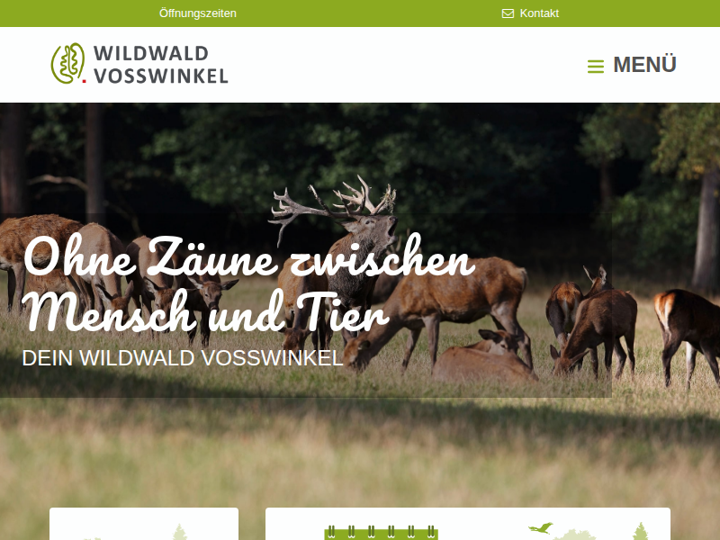 Outdoor Exit Game "Keinen Schritt weiter!" / Gruppenangebote / Wald-Abenteuer / Wildwald Vosswinkel