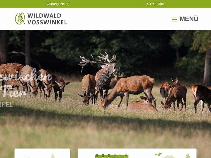 Team-Klettergarten / Wald-Abenteuer / Wildwald Vosswinkel