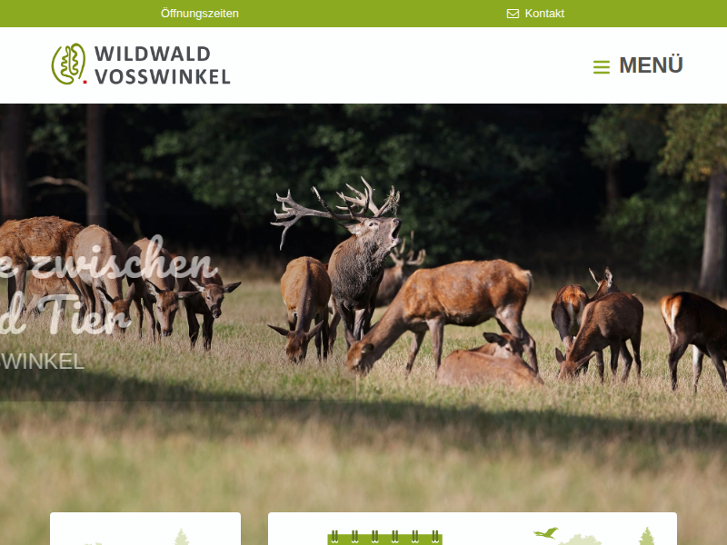 Outdoor Exit Game "Keinen Schritt weiter!" / Gruppenangebote / Wald-Abenteuer / Wildwald Vosswinkel