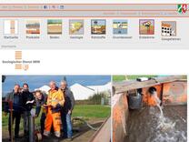 Oberflächennahe Verwerfungsstrukturen in der Niederrheinischen Bucht | Geologischer Dienst NRW