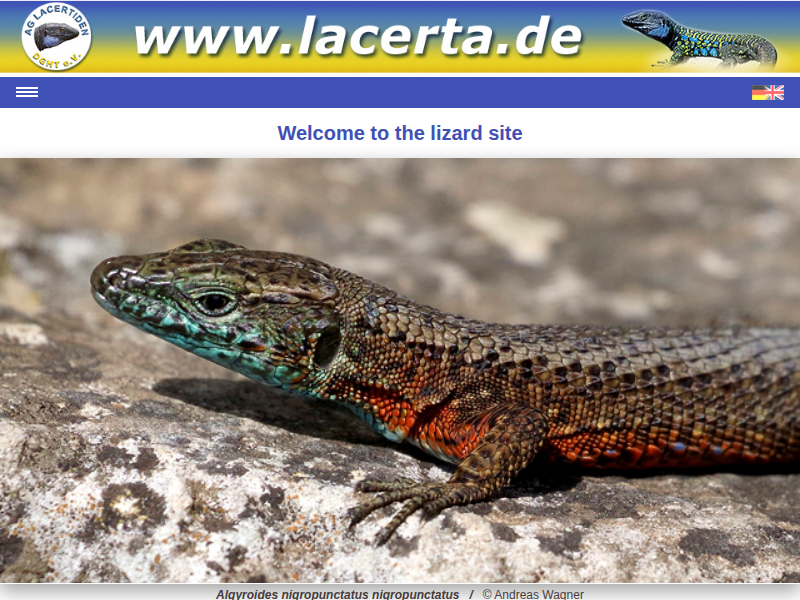 Bilder von Helmut Willert