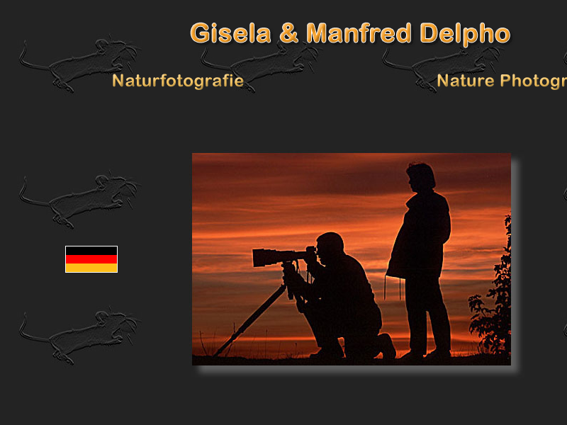 Die Welt in unserer Hand