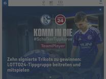 90 Minuten und Nachspielzeit mit Boxer Täuber - FC Schalke 04