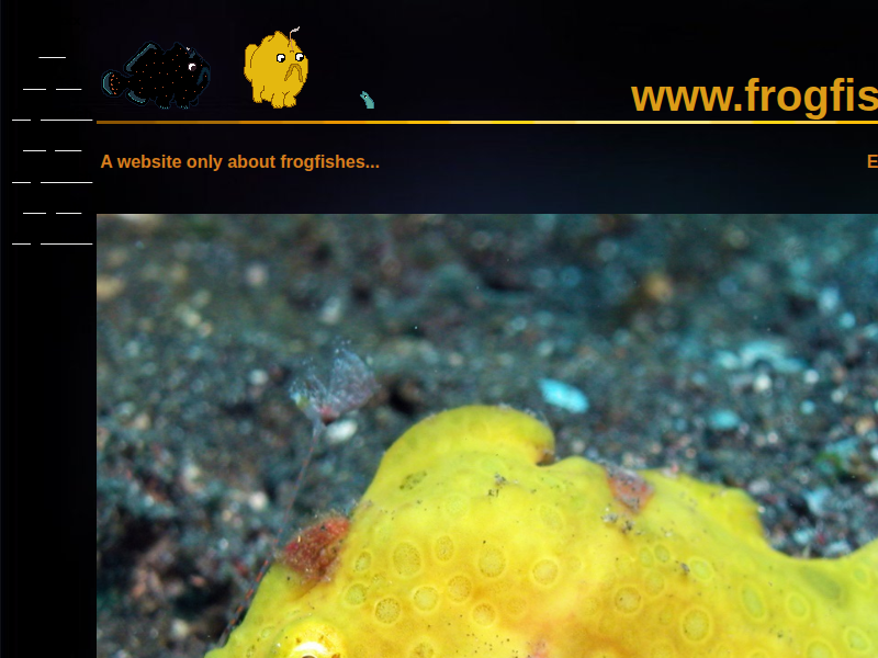 Rotes Meer: Anglerfisch (Antennariidae): Bestimmungsschlüssel / Tipps zur Identifikation von Anglerfischen