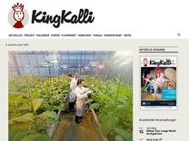 Herrlich schrecklicher Familienspaß im Theater Aachen: Der satanarchäolügenialkohöllische Wunschpunsch - KingKalli