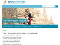 Offen ausgeschriebene Jugendbegegnungen - Dein Sprung ins Ausland