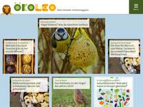 Weltbienentag: Warum sind Bienen so wichtig? - ökoLeo Umwelt- und Naturschutz für Kinder in Hessen