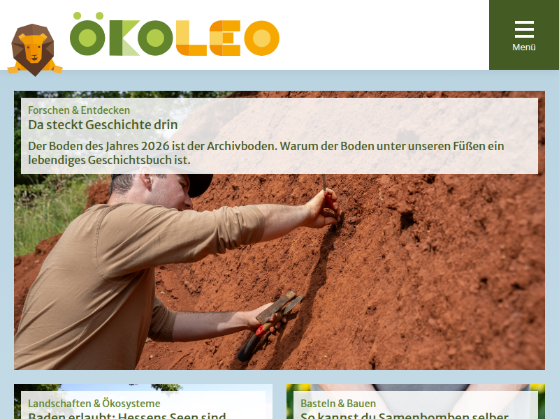 Bildergalerie: Insektenfreundliche Pflanzen für Garten und Balkon - ökoLeo Umwelt- und Naturschutz für Kinder in Hessen