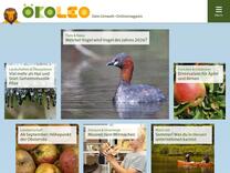 Kraniche fliegen im Herbst über Hessen - ökoLeo Umwelt- und Naturschutz für Kinder