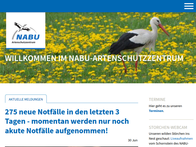 Rabenkrähen - NABU-Zentrum Leiferde