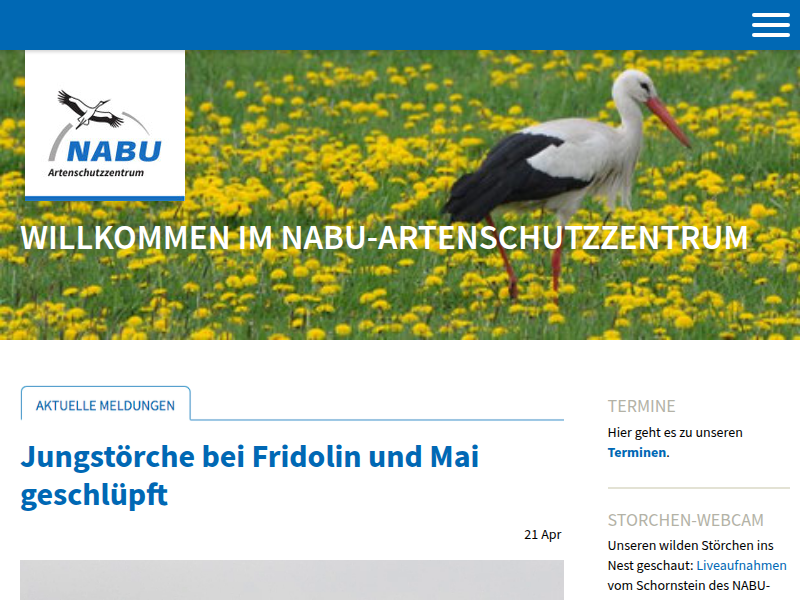 Hauptgeburtsmonate des Igels sind August und September - NABU-Zentrum Leiferde