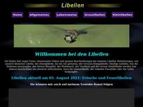 Libelle, Gebänderte Prachtlibelle, Männchen