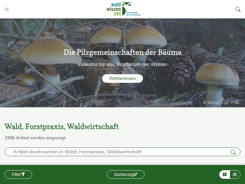Waldpädagogik in Europa – mit neuen Ideen in die Zukunft - waldwissen.net