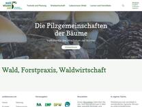 Kunststoffe: auch im Waldbau ein Thema - waldwissen.net