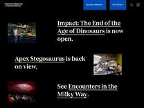 Lonely at the Top? | AMNH